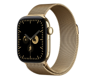 Apple 40mm Radiant Gold Milanese Loop - 1594138 - zdjęcie 2